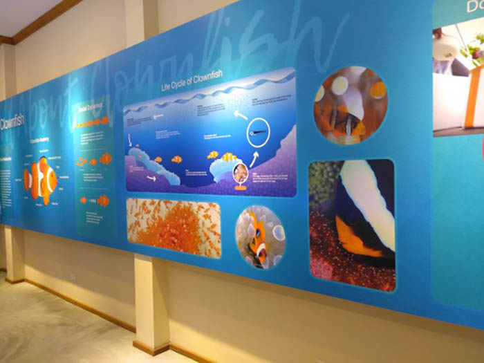 Information board in the clownfish zone